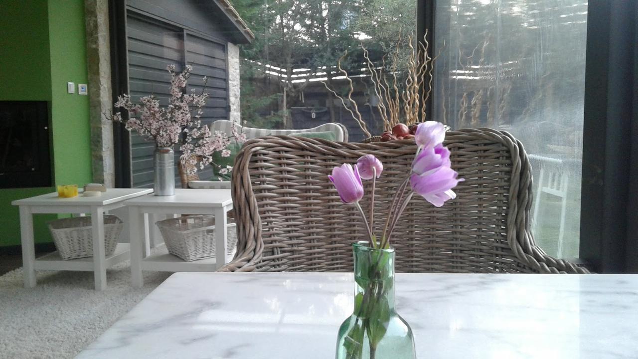 Elaion Guesthouse Elinikó Kültér fotó